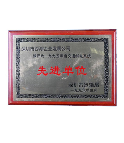 西湖股份